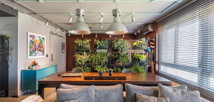 6 espécies de plantas para projetos de interiores