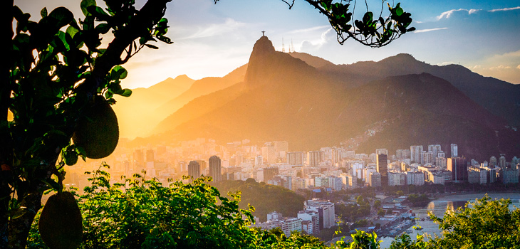 Plano Diretor de Arborização Urbana do Rio de Janeiro avança para sair do papel