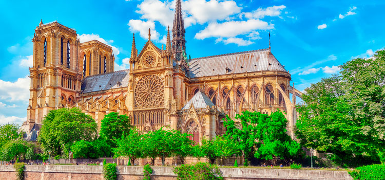 Catedral de Notre Dame ganhará novo paisagismo