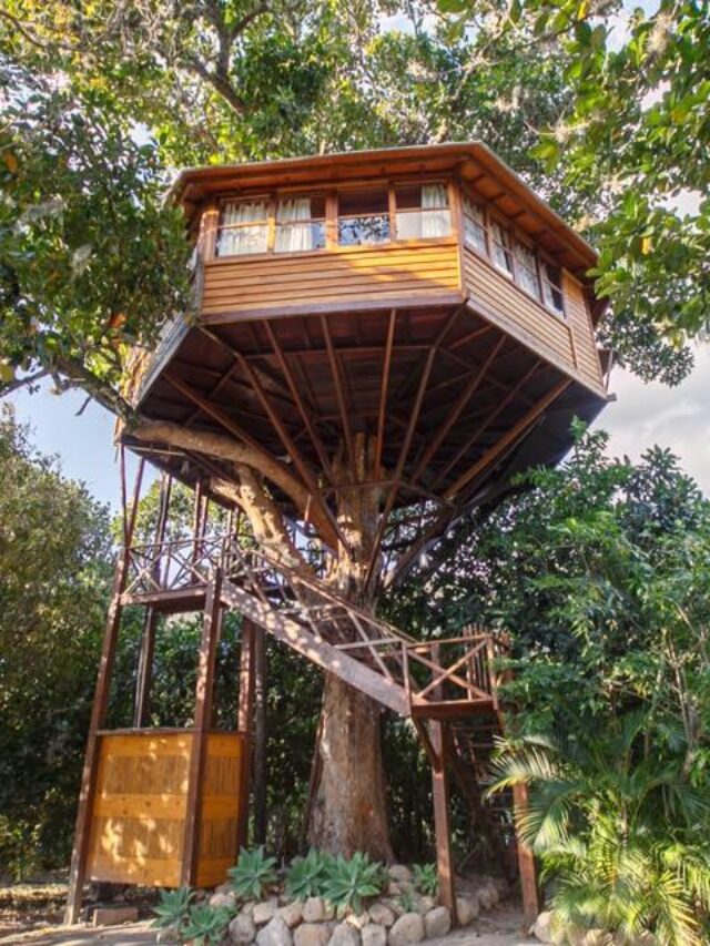 5 hospedagens em casas na árvore pelo mundo